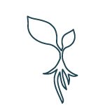 Outline of plug plant